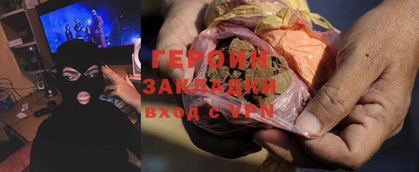 гашик Алексин