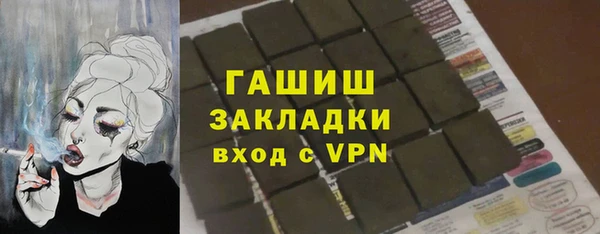 гашик Алексин