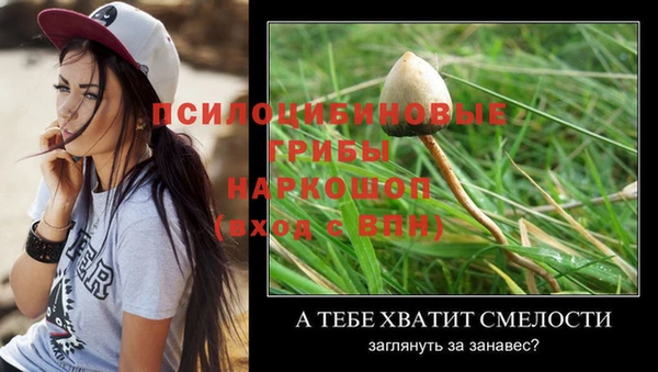 винт Абинск