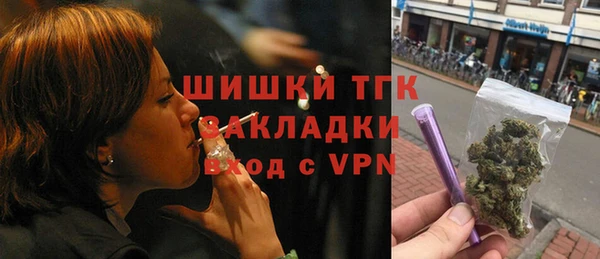 крисы Пересвет