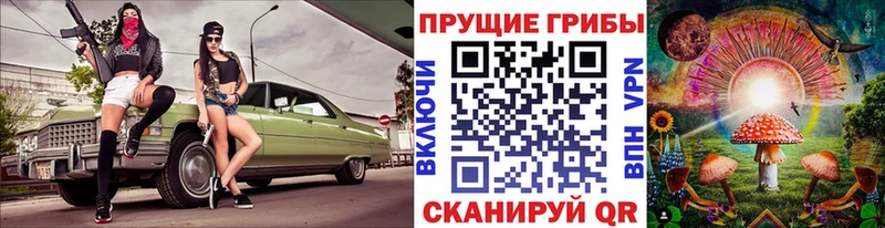наркошоп  Кяхта  Галлюциногенные грибы мицелий 